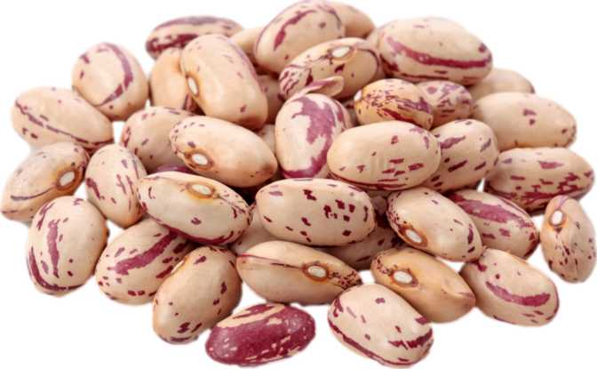 Pinto Beans