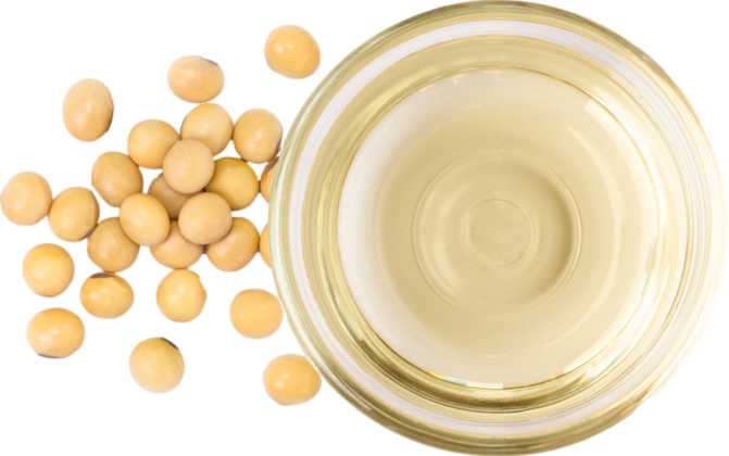 Soybean Oil (partially hydrogenated)