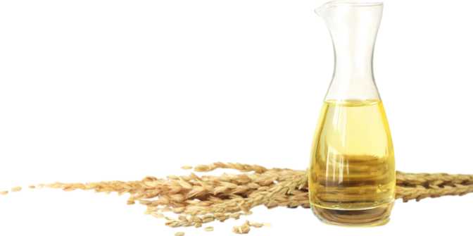 Rice Bran Oil