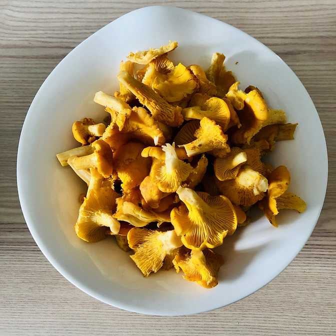 Chanterelle Mushrooms