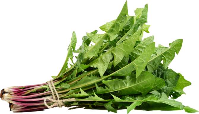 Dandelion Greens