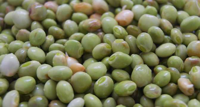 Pigeonpeas