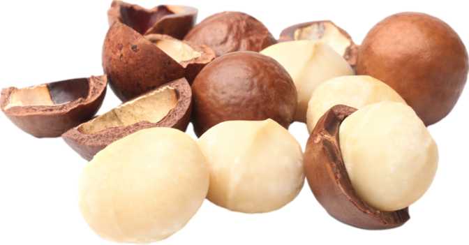 Macadamia Nuts