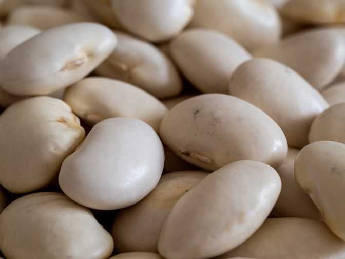 White Beans (Large)