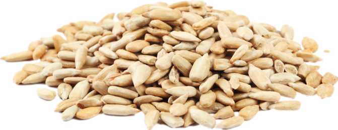 Sunflower Seed Kernels (dried)