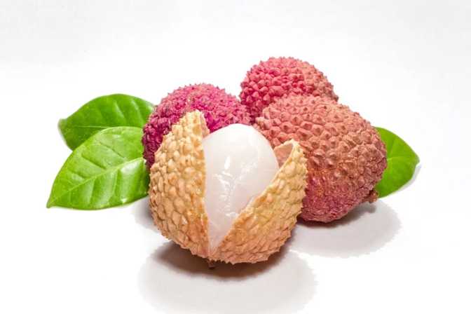 Lychee