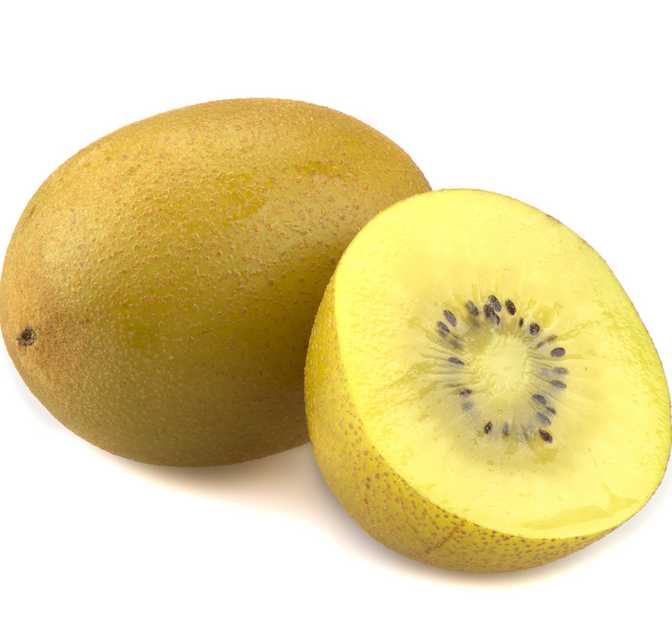 Zespri SunGold Kiwifruit