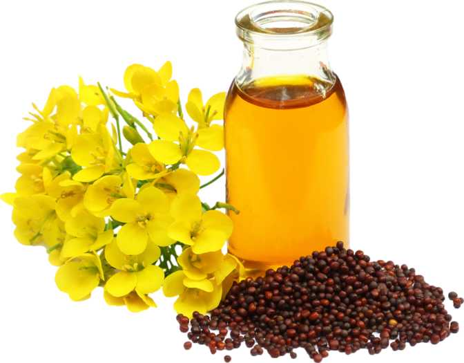 Mustard Oil