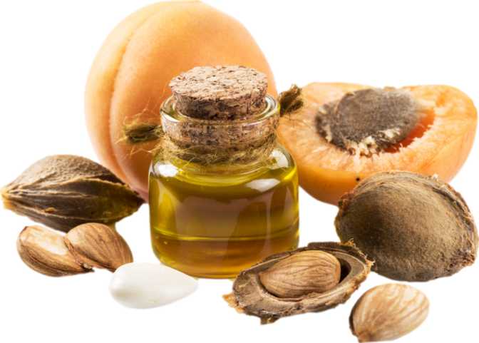 Apricot Kernel Oil