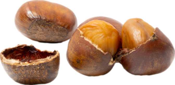 Japanese Chestnuts (dried)