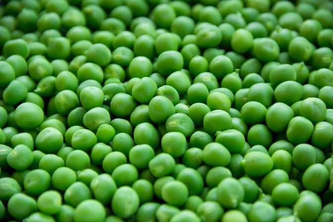 Pea Seeds