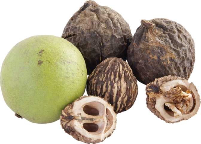 Black Walnuts (dried)