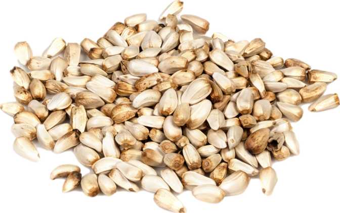 Safflower Seed Kernels (dried)